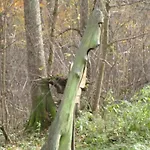 Warminskie Mieszkanko Kwatera prywatna