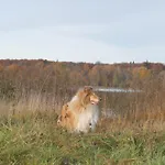 Warminskie Mieszkanko Kwatera prywatna *