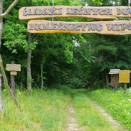 Séjour chez l'habitant Warminskie Mieszkanko