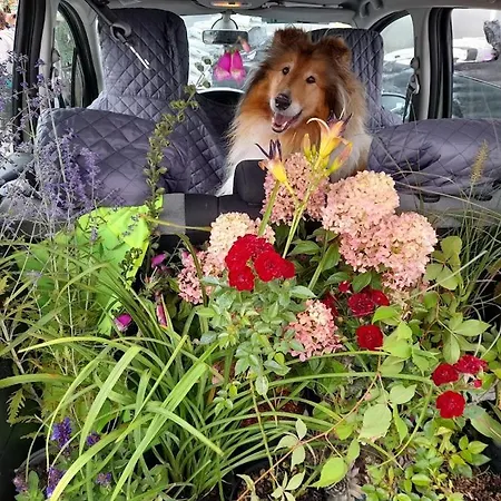 Warminskie Mieszkanko