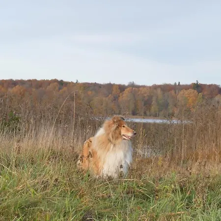 Warminskie Mieszkanko Séjour chez l'habitant *