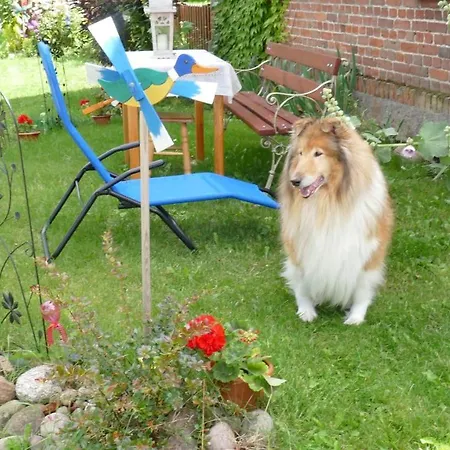 Warminskie Mieszkanko *