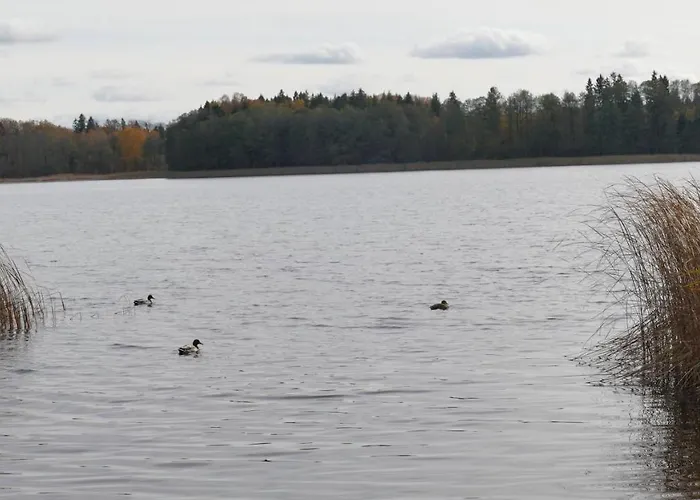 Warminskie Mieszkanko ホームステイ