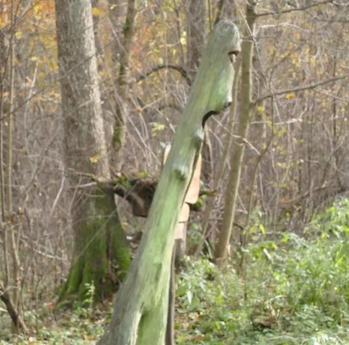 Warminskie Mieszkanko ホームステイ