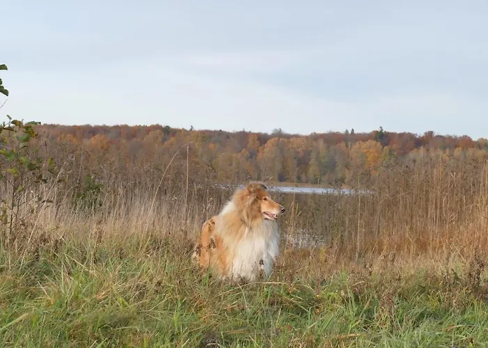 Warminskie Mieszkanko ホームステイ *