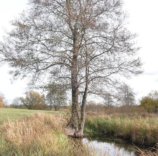 Warminskie Mieszkanko ホームステイ ビスクピエツ